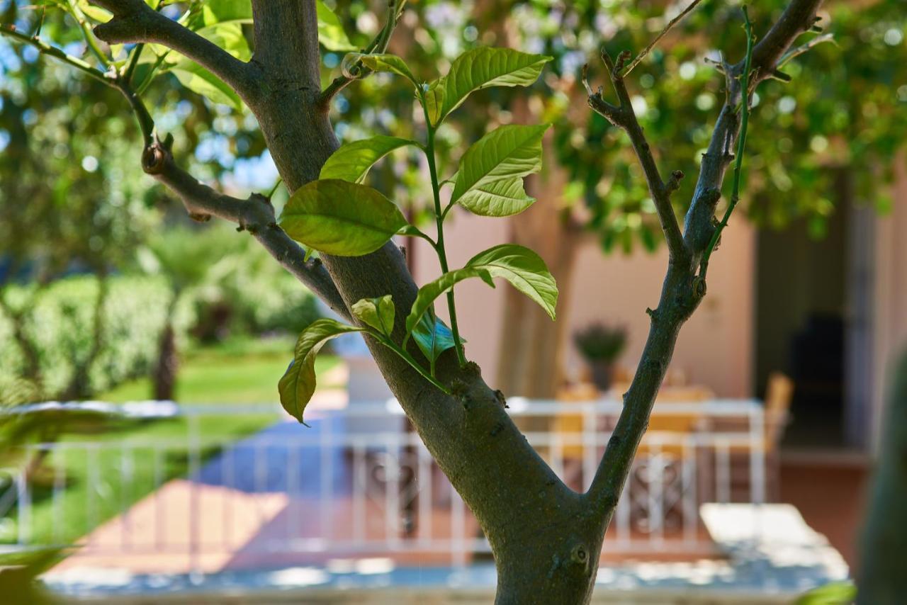 Villa Moma Palio Gerani Dış mekan fotoğraf